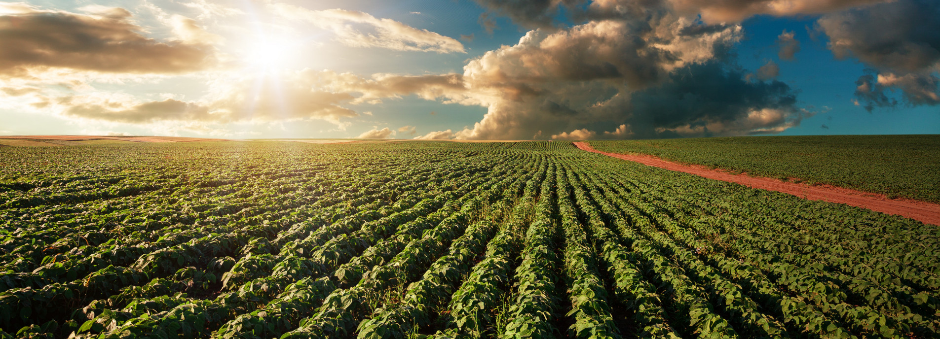 Background do footer