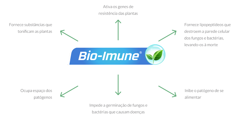 Mecanismos de ação de multissitio biológico Bio-Imune