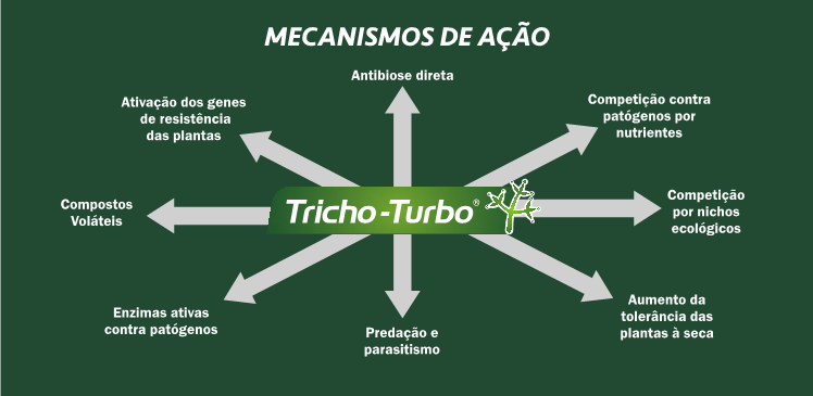 Tricho-Turbo Mecanismos de Ação