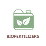 biofertilizers