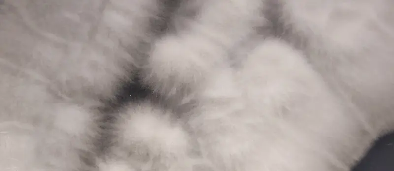 Imagem microscópica de colônias rizosféricas do produto Rizo Turbo, mostrando a ação de microrganismos promotores de crescimento radicular.
